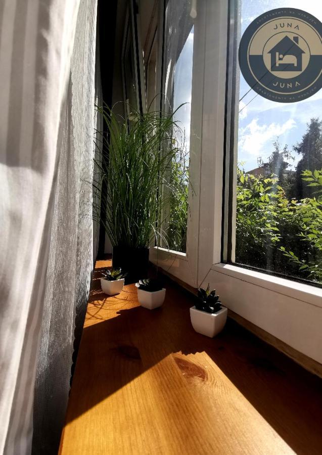 Juna - Nowoczesny Apartament W Centrum Z Widokiem Na Park プルシュクフ エクステリア 写真